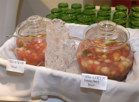 Zukunftsregion Steyr: Sommercocktail am 31.8.2022, Foto: Peter Kainrath