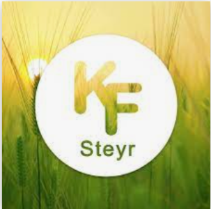 Logo von Klimafokus Steyr